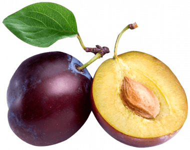 Слива Слива